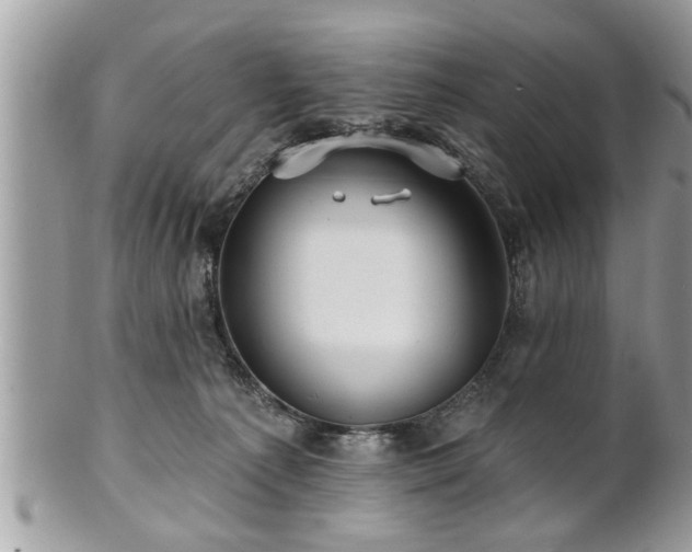 X0000100970225200807011428