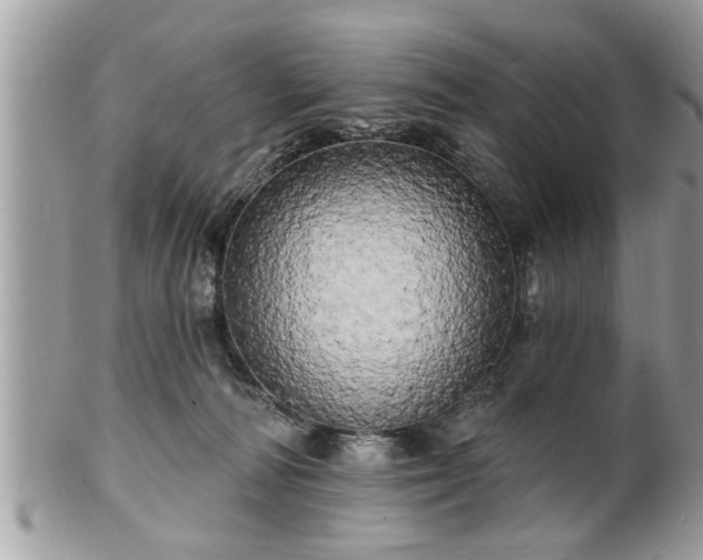 X0000100970226200807011428