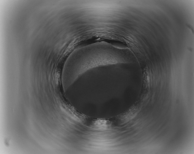 X0000100970227200807011428