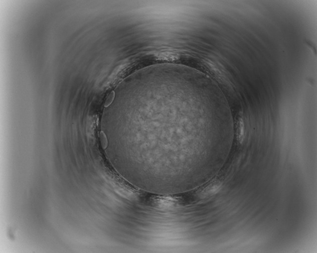 X0000100970229200807011428