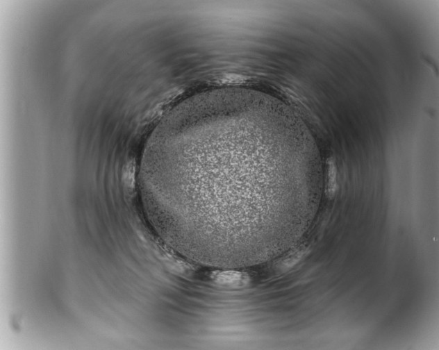 X0000100970230200807011428