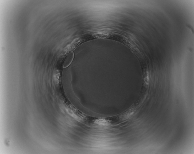 X0000100970231200807011428
