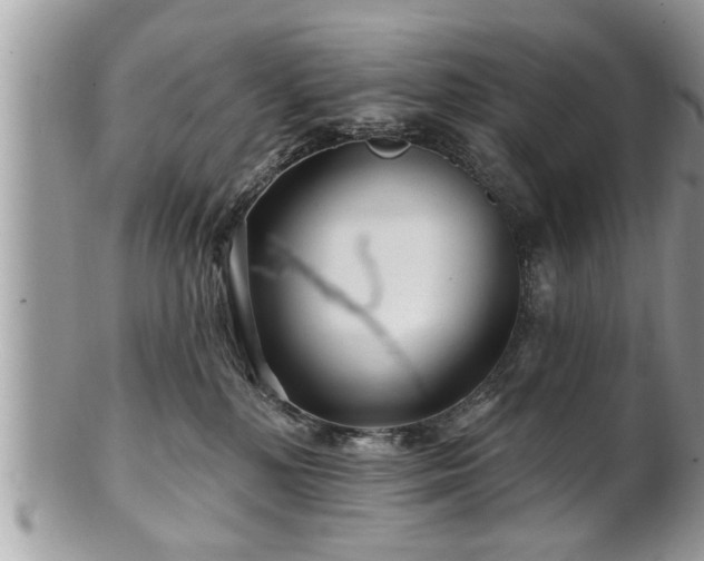 X0000100970232200807011428