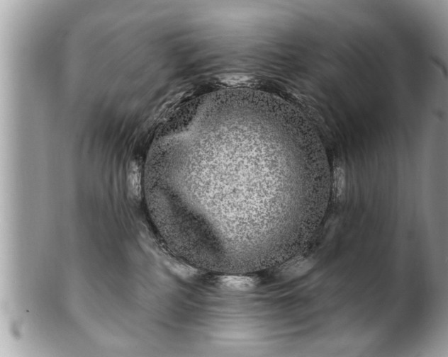 X0000100970234200807011427