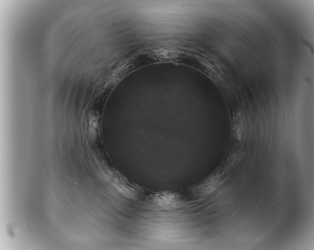 X0000100970235200807011427