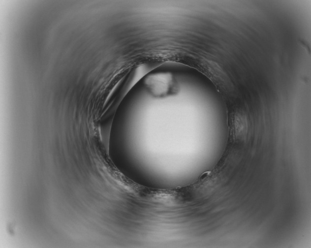 X0000100970236200807011427