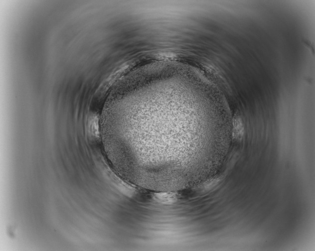 X0000100970238200807011427