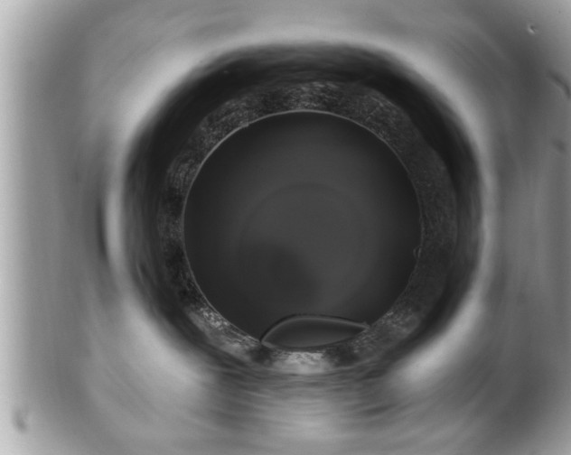 X0000100970239200807011427