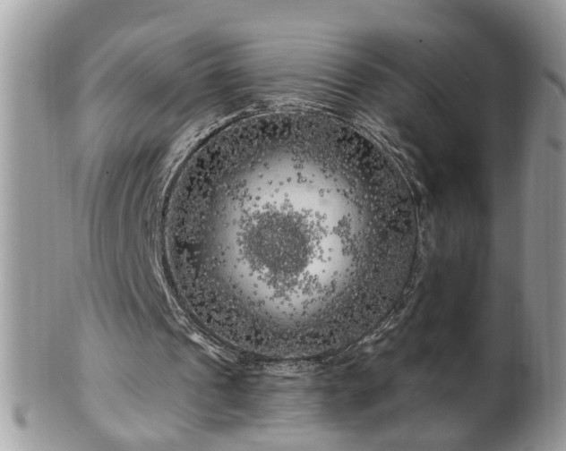X0000100970241200807011427