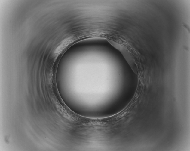 X0000100970242200807011427