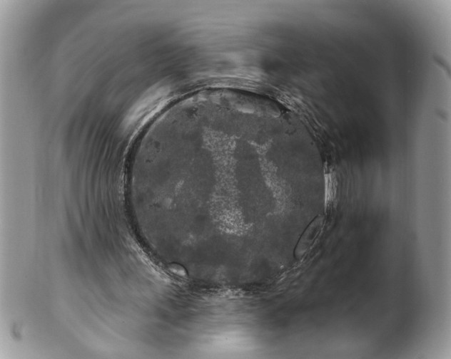 X0000100970243200807011427