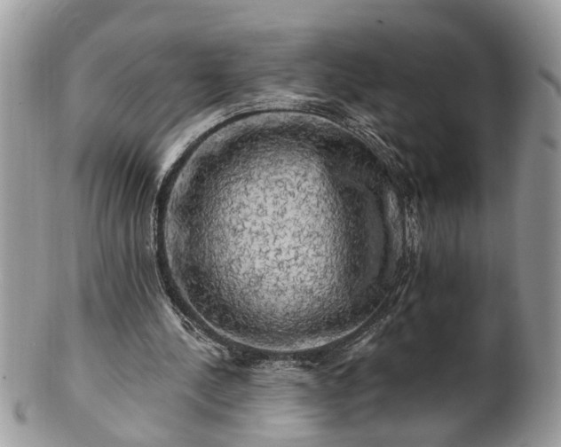 X0000100970244200807011427