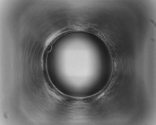 X0000100970246200807011427