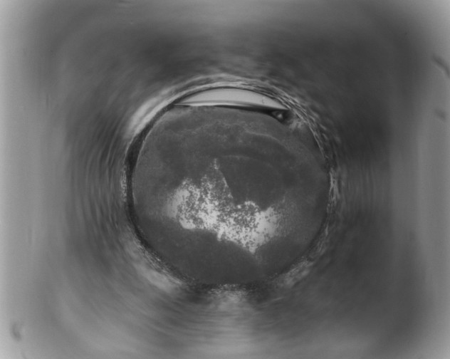 X0000100970247200807011427