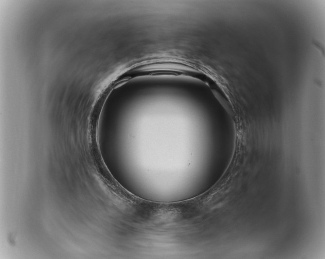 X0000100970248200807011427