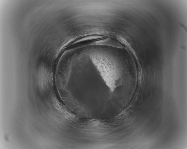 X0000100970249200807011427