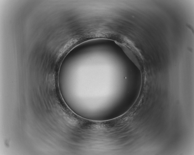 X0000100970250200807011427