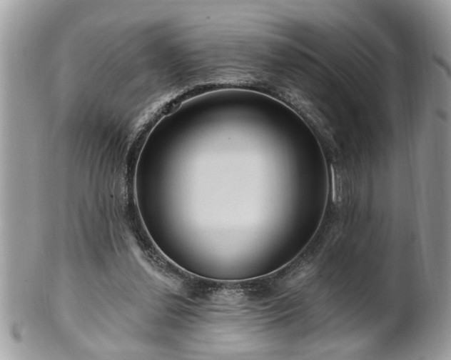 X0000100970252200807011427