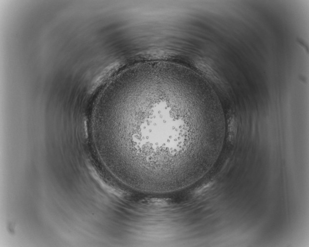 X0000100970254200807011427