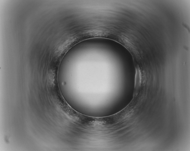 X0000100970255200807011427