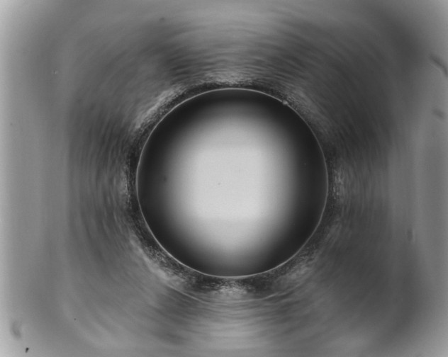 X0000100970256200807011427
