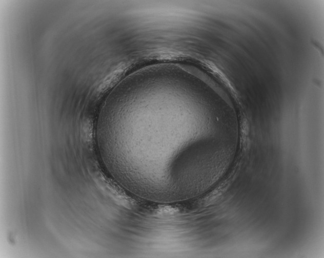 X0000100970257200807011427