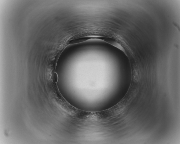 X0000100970259200807011427