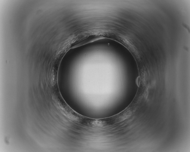 X0000100970261200807011427