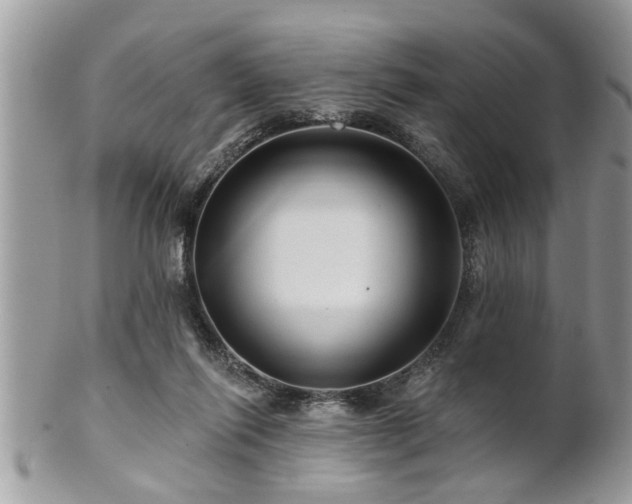 X0000100970262200807011427