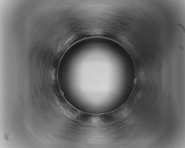 X0000100970264200807011427