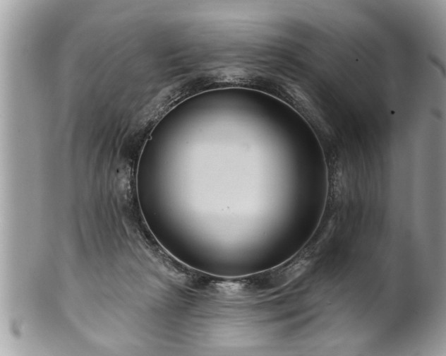 X0000100970265200807011427