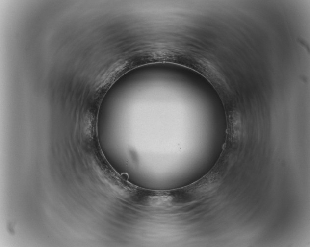 X0000100970266200807011427