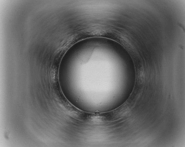 X0000100970268200807011427