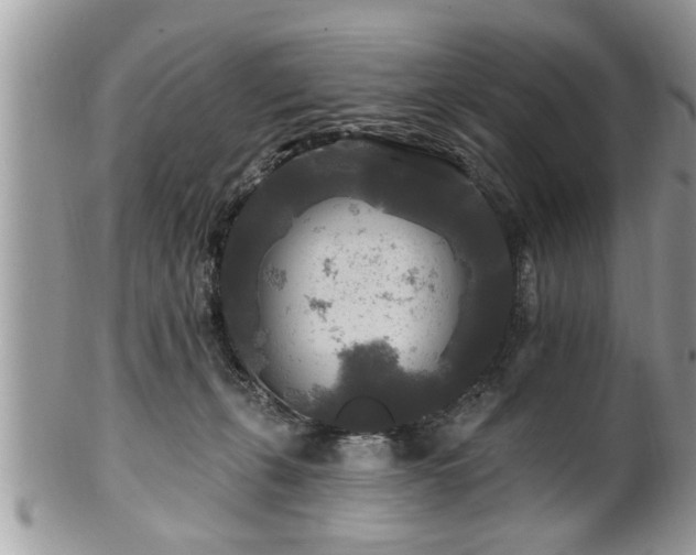 X0000100970271200807011427