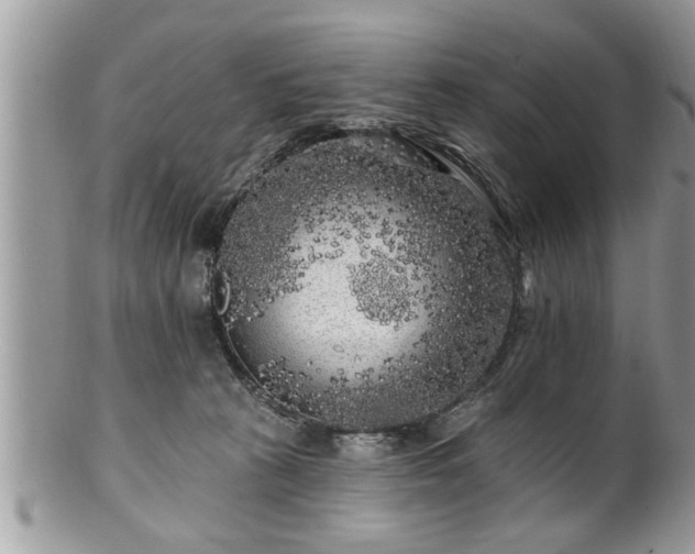 X0000100970273200807011427
