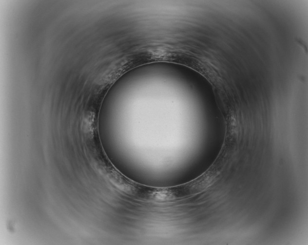 X0000100970275200807011427