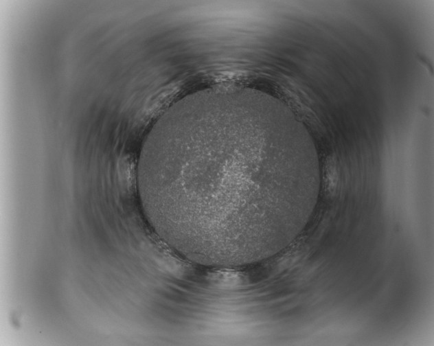 X0000100970276200807011427