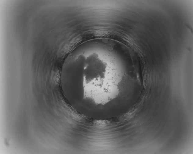 X0000100970277200807011427