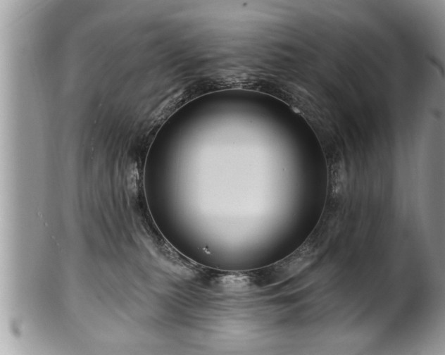 X0000100970279200807011427