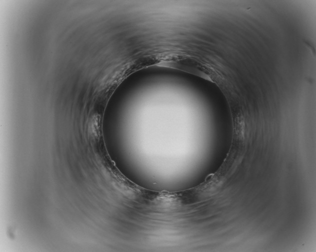 X0000100970280200807011427