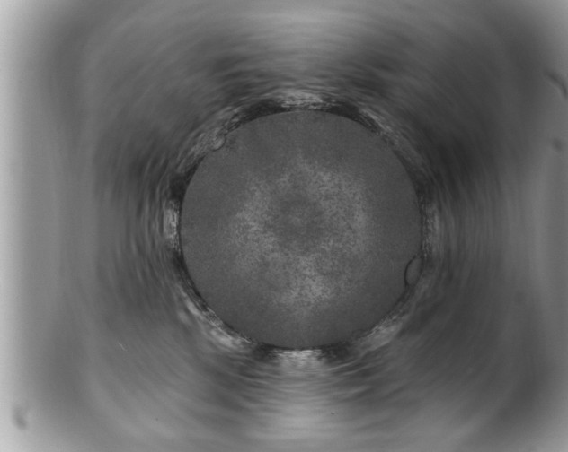 X0000100970281200807011427