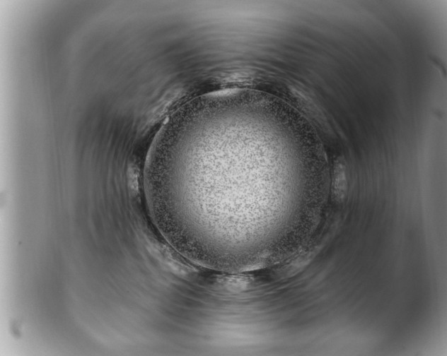X0000100970282200807011427