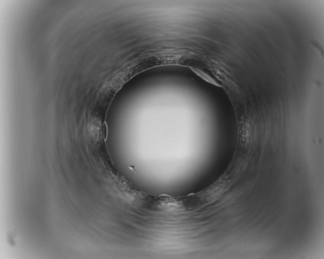 X0000100970283200807011427