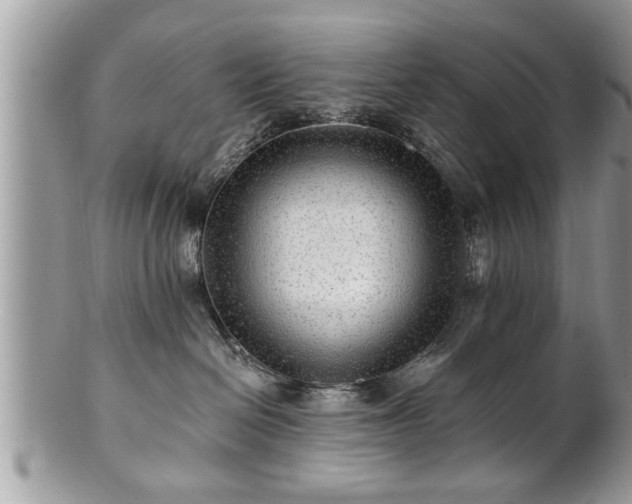 X0000100970286200807011427