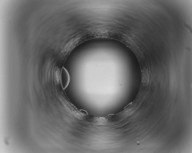 X0000100970287200807011427