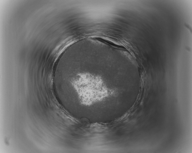 X0000100970290200807011427