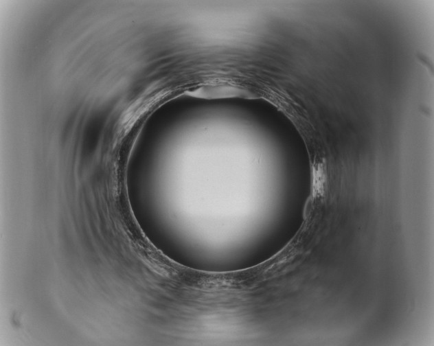 X0000100970291200807011427