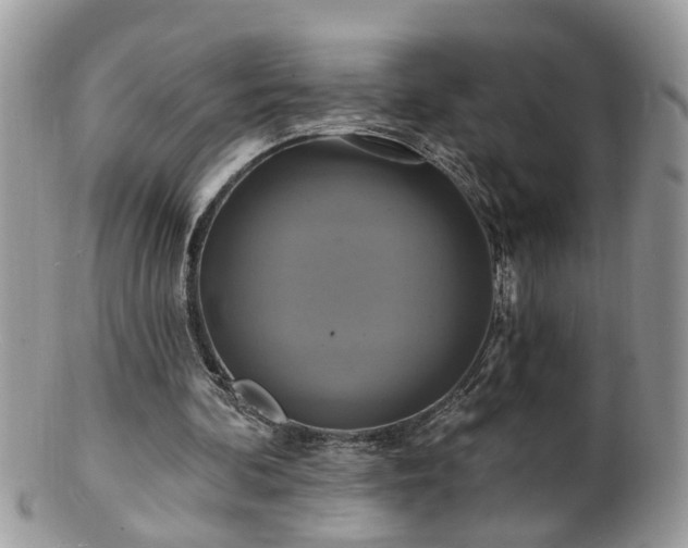 X0000100970292200807011427