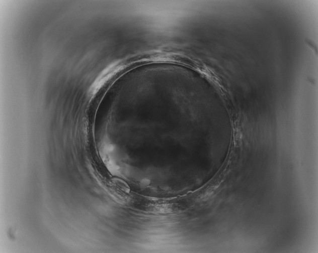 X0000100970295200807011427