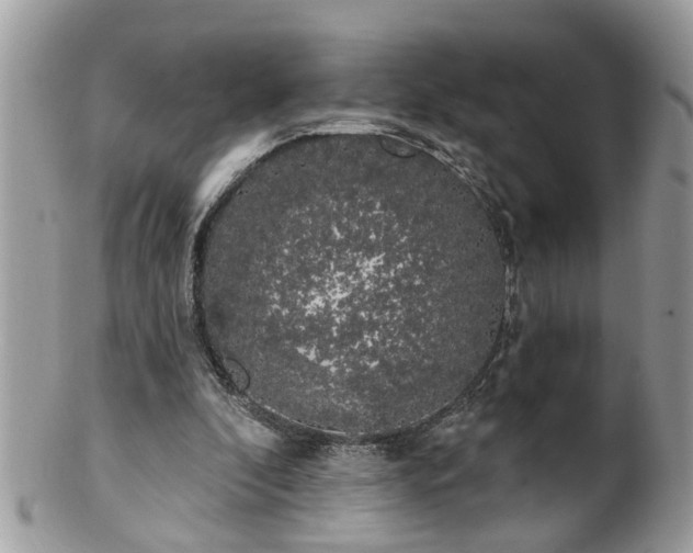 X0000100970296200807011427